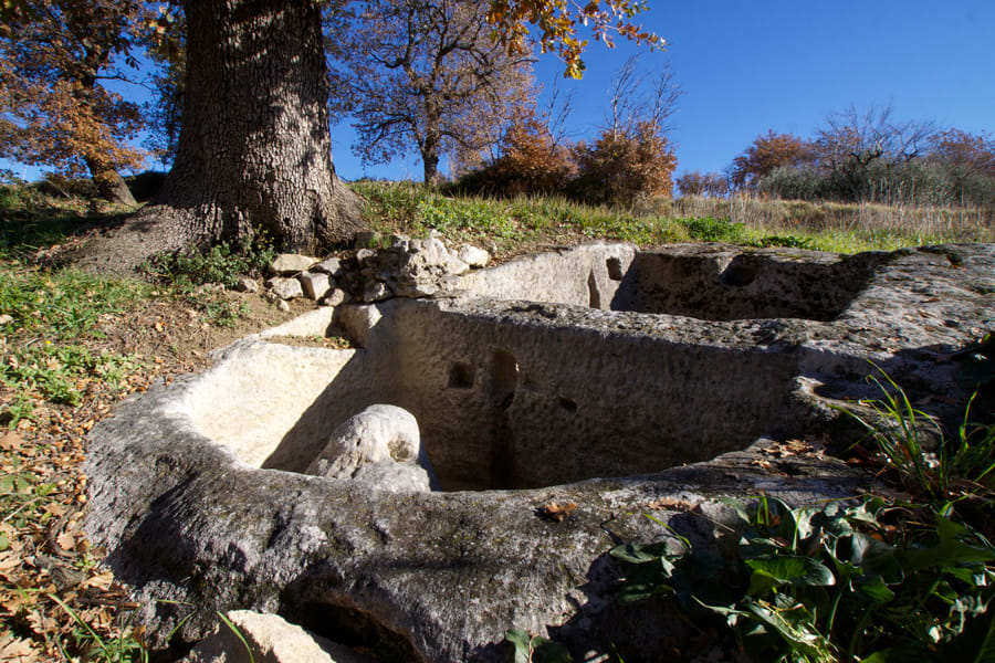 A guided tour of the Palmenti di Pietranico 5