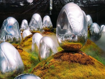 TeamLab Planets TOKYO Admission Entry Ticket