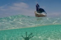 Private Dolphin Watching Experience in Zanzibar  5