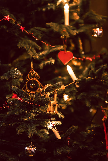 Finnish Christmas with Santa Claus, 3 hours (Private Tour) 3