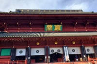 Nikko Private Tour Return by Bullet Train 8