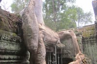 Ta Prohm