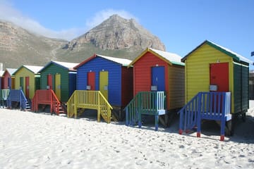 Explore Cape of Good Hope and Boulders Beach Private Tour
