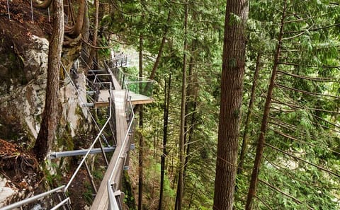 Private Day Trip to Grouse Mountain and Capilano Bridge