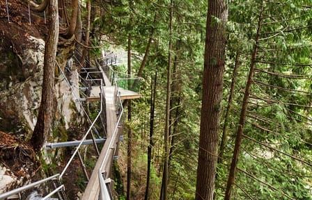 Private Day Trip to Grouse Mountain and Capilano Bridge
