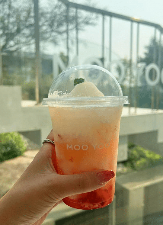 Bangkok IG Cafe Tour (Bubble in the Forest, After the Rain, Moo Yoo)