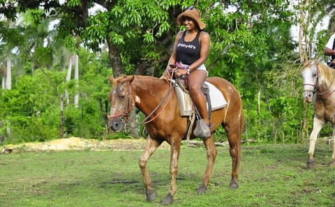 Horseback Riding Tour Through the Dominican Jungle