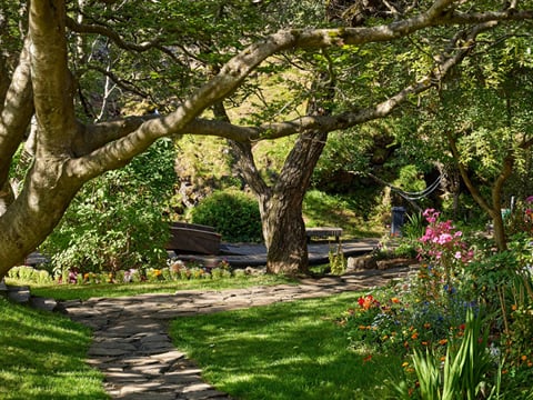 Park setting with greenery and walking paths