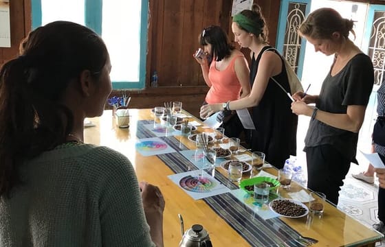 Coffee Class and DaLat Outskirt Tour