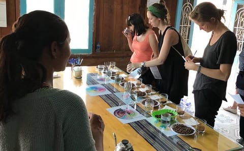 Dalat Coffee Culture and Scenic Outskirt Tour