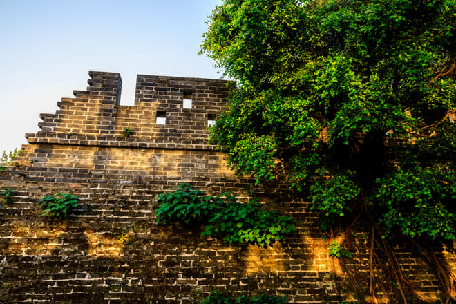 Private Guangzhou Lay Over Tour with 9 Options 5