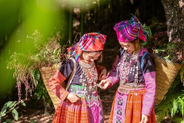3-Day Cultural and Nature Tour of Sapa and Fansipan Peak