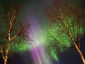 Aurora Walking Tour at Lucky Ranch in Kemijärvi, Finland