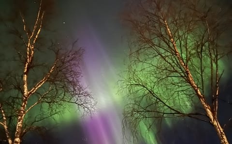 Aurora Walking Tour at Lucky Ranch in Kemijärvi, Finland