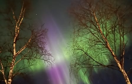 Aurora Walking Tour at Lucky Ranch in Kemijärvi, Finland