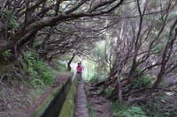 Skywalk & Rabacal "25 Fountains Levada Walk" in Open Roof 4x4 Full Day Tour 6