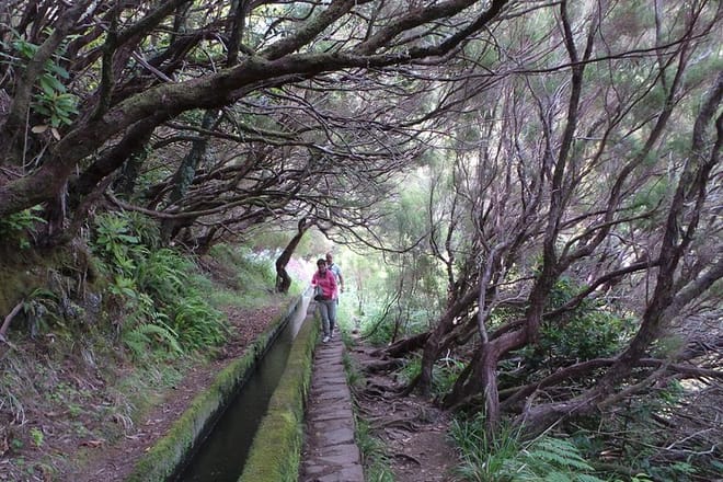  Rabaçal levada walk and Skywalk 4x4 Open Roof Off Road Experience. photo 6
