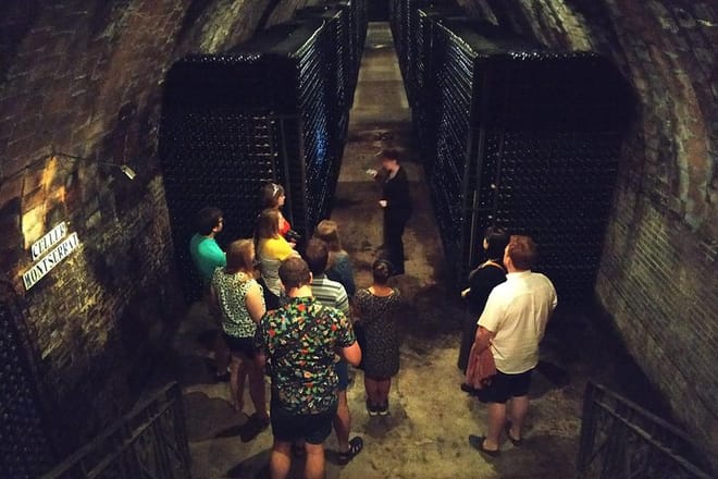 Penedes Wine Tour