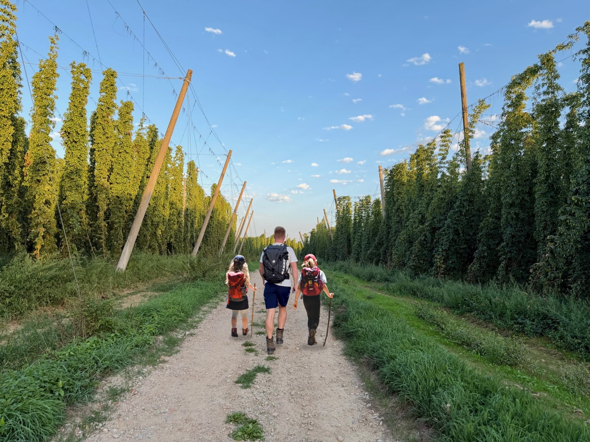 Familie Wandern Hallertau