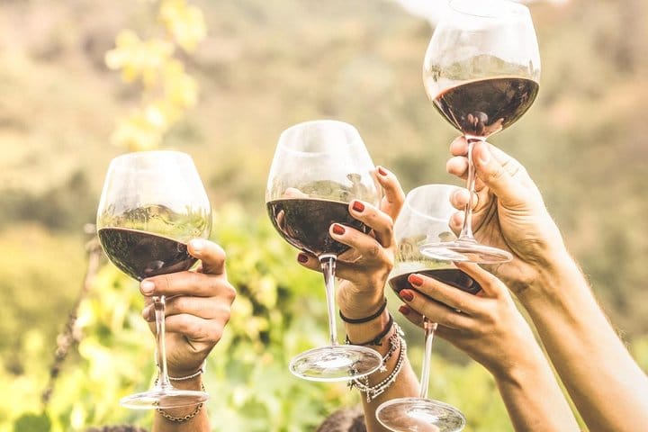 Half Day Trip to Undurraga Vineyard from Santiago - Wine Tasting Included