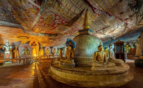 Sigiriya and Dambulla Temple Tour from Trincomalee