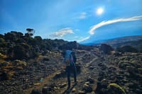 6-Day Mount Kilimanjaro Climb: Fast-Paced Machame Route Wilderness Challenge 7