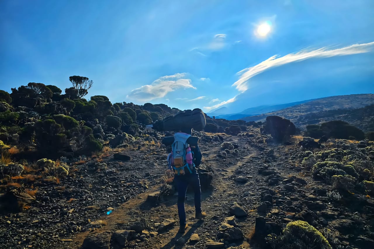 6-Day Mount Kilimanjaro Climb: Fast-Paced Machame Route Wilderness Challenge 7