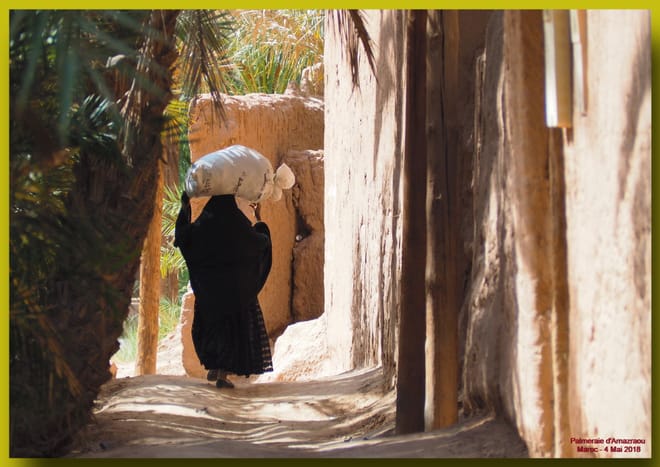 3 Days : Amazraou Oasis Sahara Expedition | Private & Luxury 2