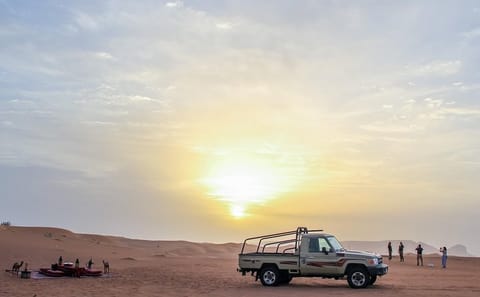 4x4 Hatta Safari Tour to Fossil Rock and Honey Bee Garden