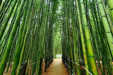 Ulsan Full Day Private Car Tour from Busan with a Certified Guide