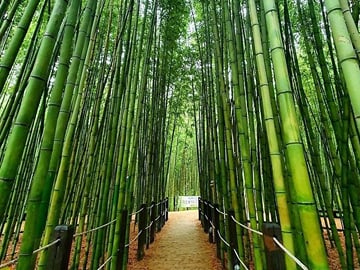 Private Full Day Tour of Ulsan from Busan with Guide