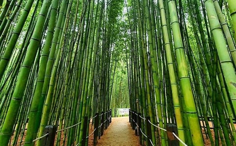 Private Full Day Tour of Ulsan from Busan with Guide