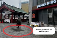 Tokyo Early Morning Tour Asakusa Meiji Shrine (Private Opt) 7