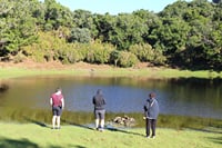 Volcanic Pools and Northwest 4WD Full Day Tour 5