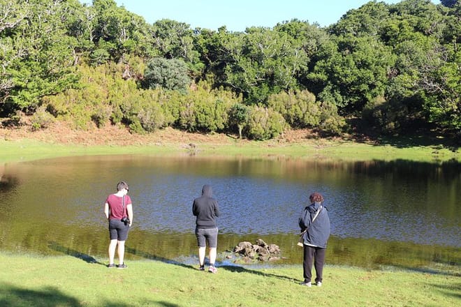 Volcanic Pools and Northwest 4WD Full Day Tour photo 5
