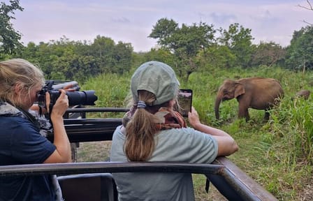 Sri Lanka Full Circle 4-Day Private Tour