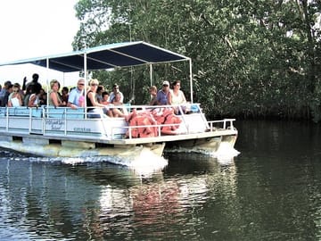 Black River Safari Tour