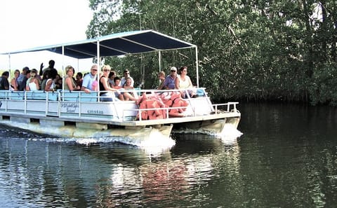 YS Falls and Black River Safari Tour from Montego Bay