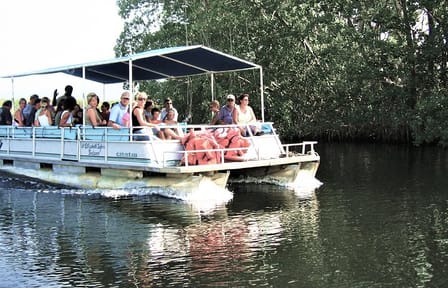 YS Falls and Black River Safari Tour from Montego Bay
