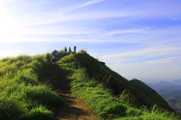 Knuckles and Riverston Trekking Experience 