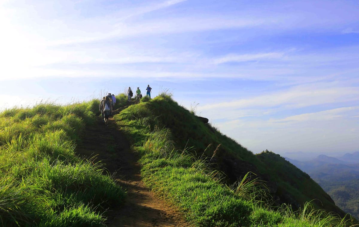 Knuckles and Riverston Trekking Experience