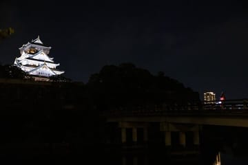 Samurai-specific Osaka Castle Guides Private tours in armor Photo