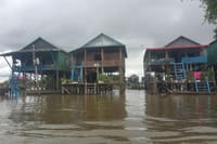 Houses on the stilt