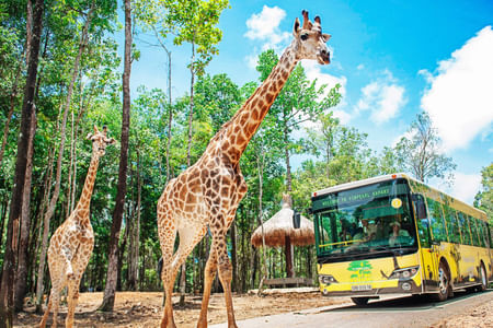 BEST SELLER: PHU QUOC VIN SAFARI & VIN WONDER