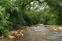 Calilegua National Park