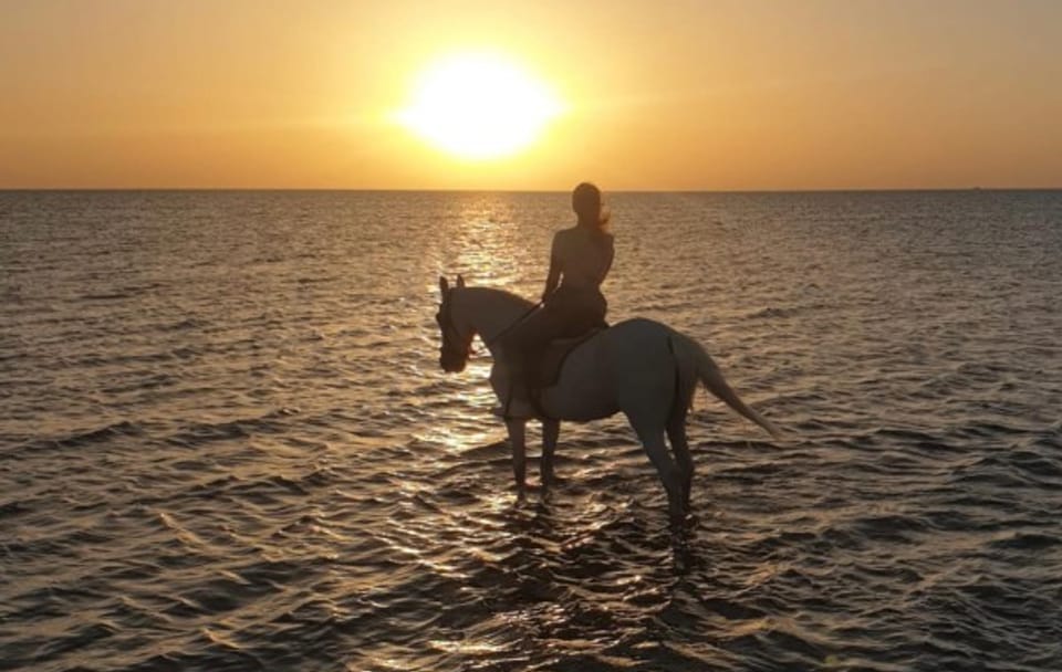Horseback Riding Adventure on Hurghada Beach