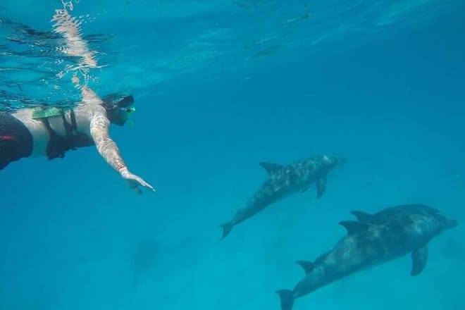Private Speed Boat to DOLPHINS House &amp; Water activities -HURGHADA