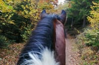 1 Hour Waterfalls Canyon Private Horse Riding in Smolyan  2