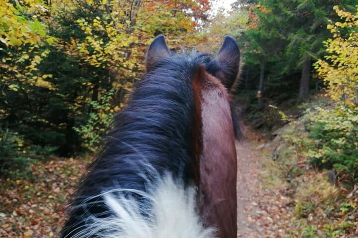 1 Hour Waterfalls Canyon Private Horse Riding in Smolyan  2