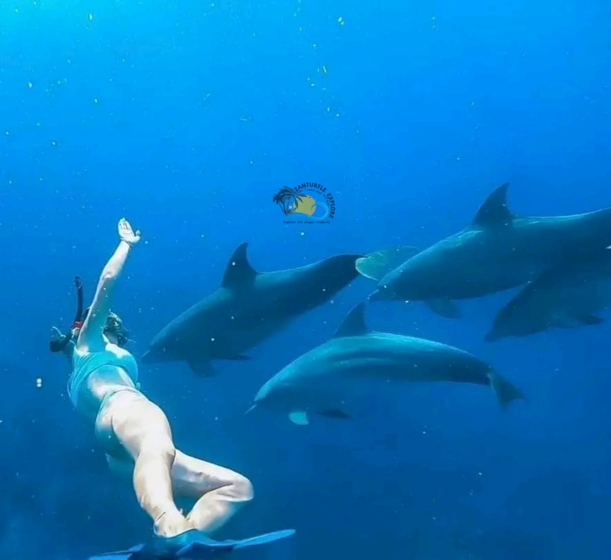 Zanzibar Maasai Culture, Jozani Forest and Salaam Cave Turtle